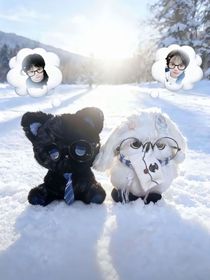 雨过天晴，我在这里等你