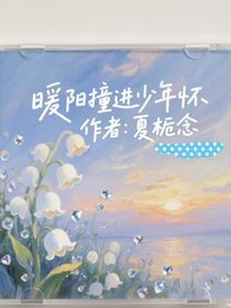 暖阳撞进少年怀