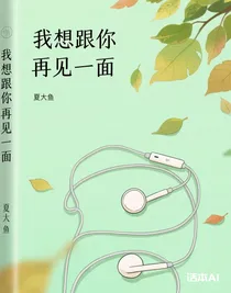我想跟你再见一面