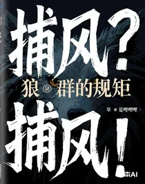 捕风？捕风！