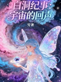 白洞纪事：宇宙的回声