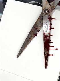 盐中少年杀人事件