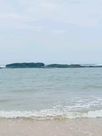 怪物大师彼岸花之叶与花