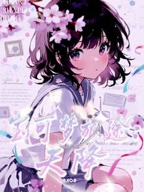 宝可梦旅途：天降