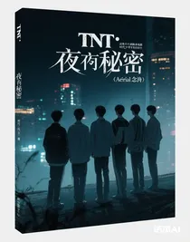TNT：夜间的秘密