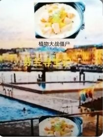 植物大战僵尸之芬兰寻宝记