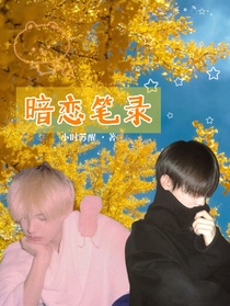 极皓：暗恋笔录