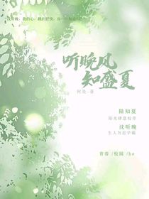 听晚风，知盛夏