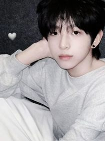 TF四代：不要哭了小猫