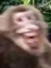 跨越时空遇见你……