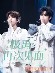 极禹：再次见面