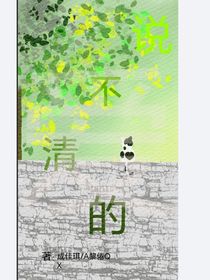 说不清的爱……