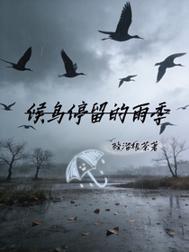 候鸟停留的雨季