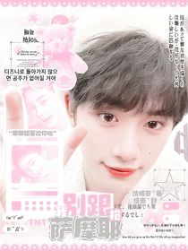 TNT：别跟我抢萨摩耶