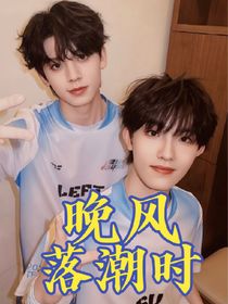 左新房：晚风落潮时