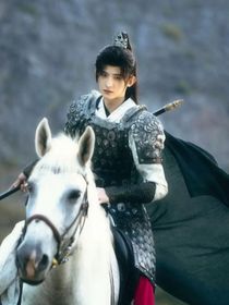 一念关山：瑶关同在