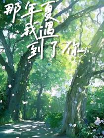 那年夏我遇到了你