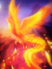 名柯：暗夜之凤