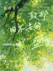 致那回不去的盛夏