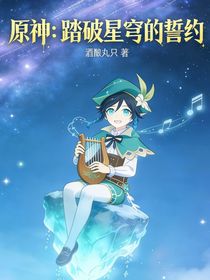 原神：踏破星穹的誓约