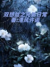 双想丝之兄弟日常