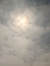 假如有个好公司