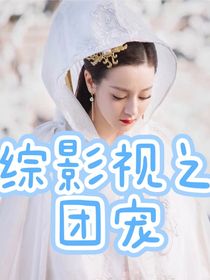 综影视之团宠