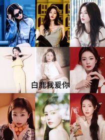 白鹿：我会爱你