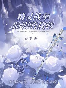 精灵战车之暗明的救赎