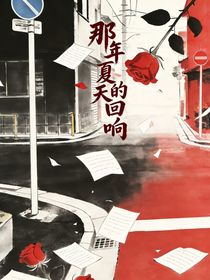 那年夏天的回响