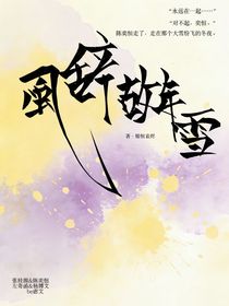 风辞故年雪