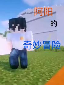 阿阳的奇妙冒险
