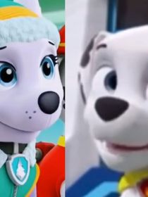 毛珠恋之有幸遇见你