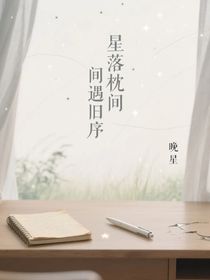 星落枕间遇旧序