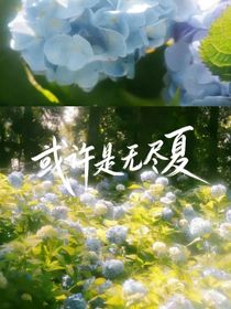 或许是无尽夏
