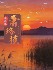 综影视：萧珞槿