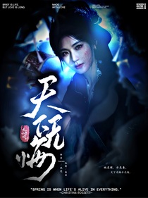 长安二十四计：天下无悔