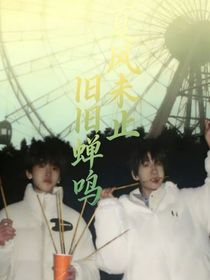 夏风未止旧蝉鸣