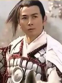 白虎将军薛仁贵