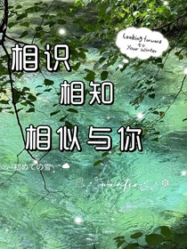 相识相知相似与你