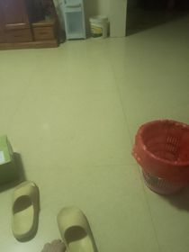 爆裂飞车与菲梦少女后续