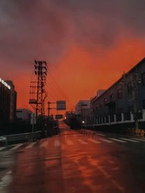 被迫揣崽打丧尸