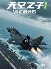 天空之子1复仇的开始
