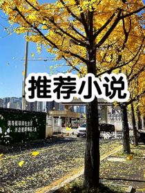 推荐双楠主小说