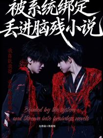 被系统绑定丢进脑残小说