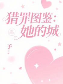 猎罪图鉴：她的城