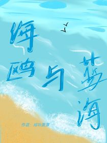 海鸥与蓝海