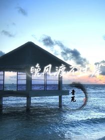 晚风渡不过岸