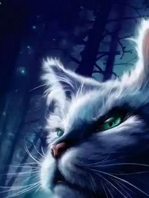 鹰之崛起———猫武士自设