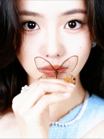 喜人奇妙夜2：蝴蝶诱猫